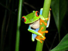 Nicaragua adventure holiday