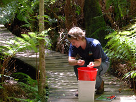 Great Ocean Walk conservation holiday, Australia