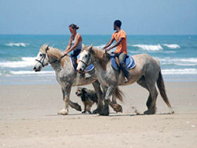 enjoying a ride on the beach
