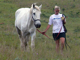 a volunteer with Buss