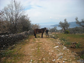 Horse riding and yoga holiday in Greece