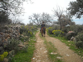 Horse riding and yoga holiday in Greece