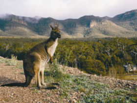 Grampians walking holidays, Victoria, Australia