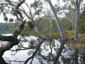 The Great South West Walk in Victoria, Australia