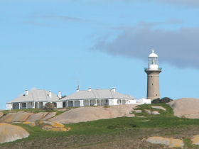 Penguin conservation on Montague Island, Australia