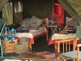 Budget safari in Kenya