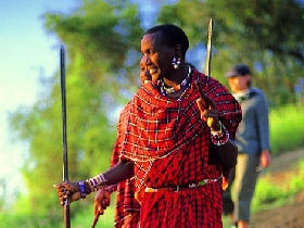 Budget safari in Kenya