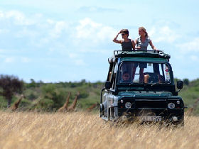 Budget safari in Kenya