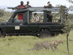 Wildlife safari and photography holiday in Kenya