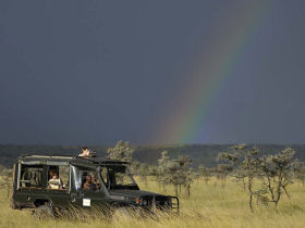 Wildlife safari and photography holiday in Kenya