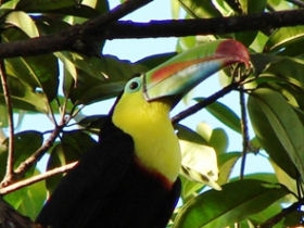 Belize holidays, tailor made 