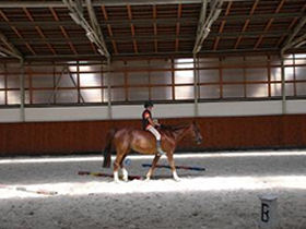 Czech Republic horse riding holiday