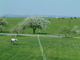 Czech Republic horse riding holiday