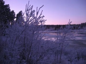 Northern Lights holiday, Finnish Lapland