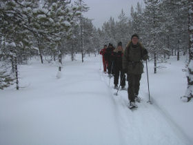 Husky safari & snowshoeing holiday in Finland