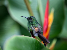 Costa Rica family holiday