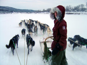 Husky safari in Sami land, Norway