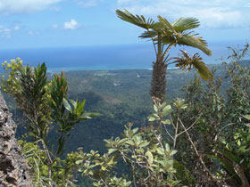 Cuba tours