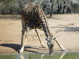 South Africa holidays, Johannesburg to the Cape