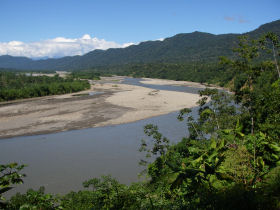 view of the Amazon