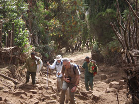Ethiopia wildlife & walking holiday