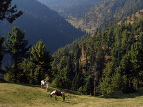 Holidays in Kashmir