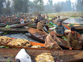 Holidays in Kashmir