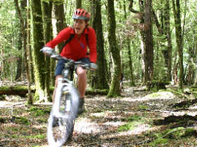 4 day mountain biking holiday in New Zealand