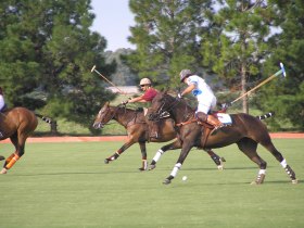 Volunteer at a Polo school in Argentina