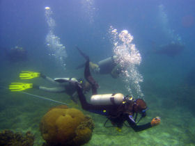 Marine conservation holiday in Thailand