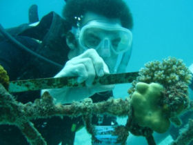 Marine conservation holiday in Thailand