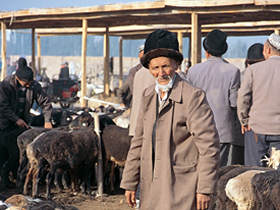Silk Road tours in China