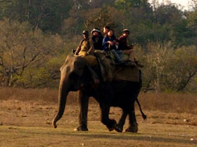 Ganges tour, Delhi to Calcutta