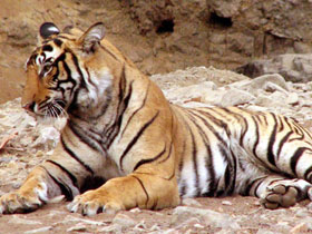 Ganges tour, Delhi to Calcutta