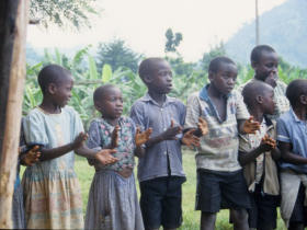 Gorilla safari in Uganda