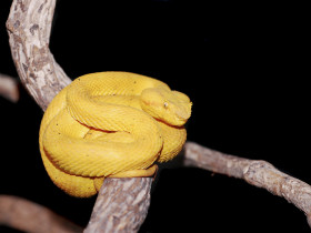 Panama trekking holiday, Darien Gap