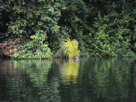 Panama trekking holiday, Darien Gap