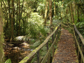 Panama holiday