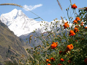 Trekking holiday in the Indian Himalayas