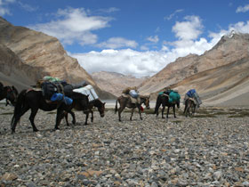 Himalayas trekking holiday with homestays