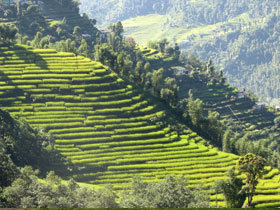 Trekking holiday in Sikkim