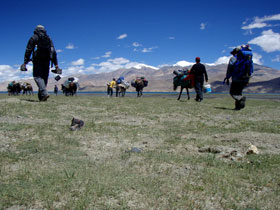 Ladakh holidays, trekking