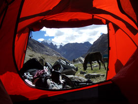 Ladakh holidays, trekking