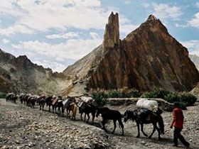 Stok Kangri and Shitidhar climbing holidays in the Himalayas