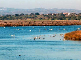 Algarve self guided cycling holiday