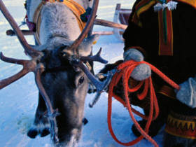 Father Christmas and New Year holidays in Finland