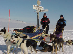 Wilderness dog sledding trip in Norway