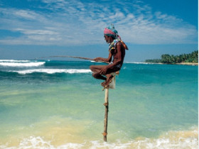 Family holiday to Sri Lanka