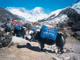 Everest Base Camp and Gokyo lakes trek in Nepal