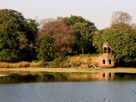 Ranthambhore tiger tour